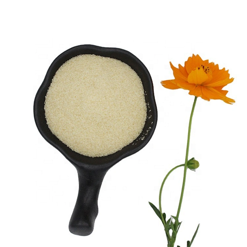 Good Price Well Known Brand Granule Gelatin powder for Food Additive Wholesale Price Gelatin